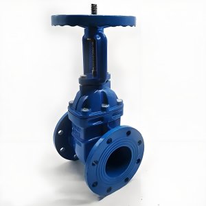 手動閘閥Z41T-16 DN50/DN65廠家直銷，上海發(fā)
